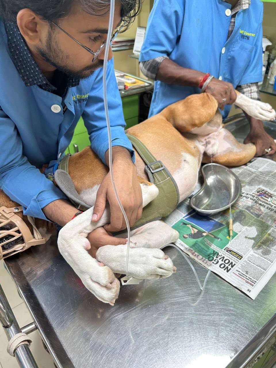 Golf Course Vets clinic and pet care